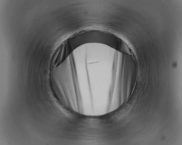 X0000090870437200708241923