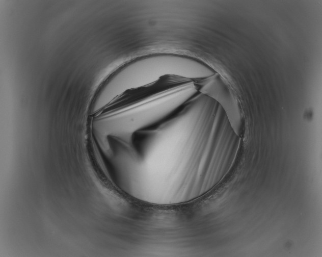 X0000090870438200708241923