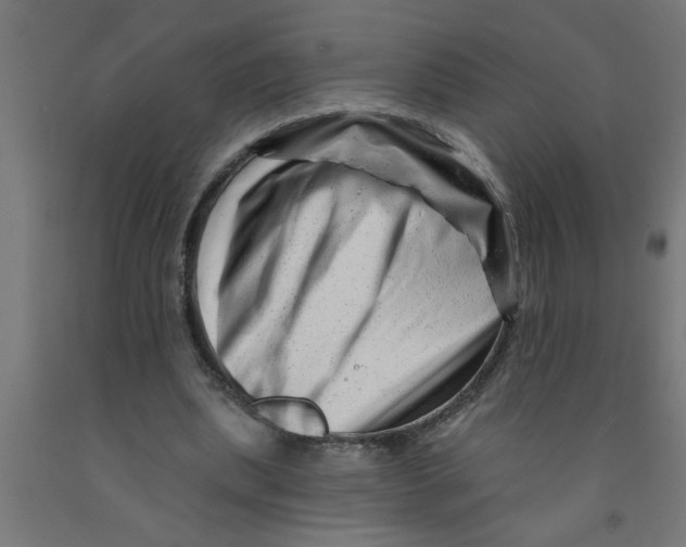 X0000090870439200708241923