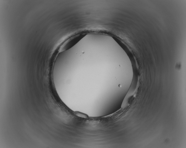 X0000090870440200708241923