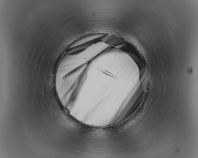 X0000090870441200708241923