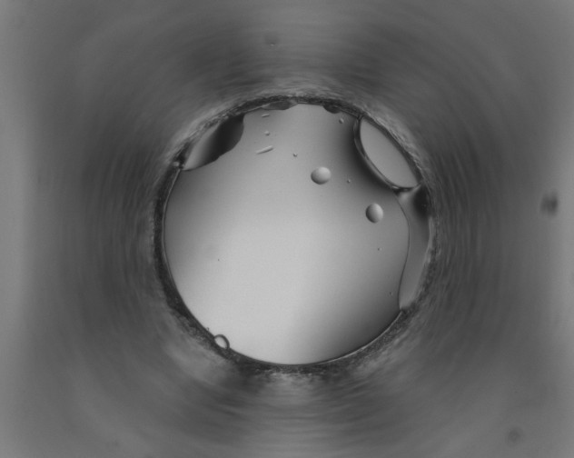 X0000090870442200708241923