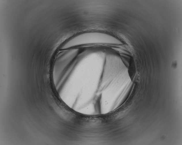 X0000090870443200708241923