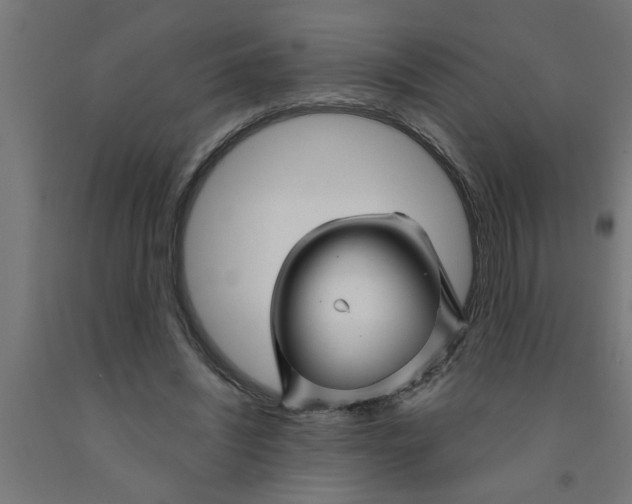 X0000090870444200708241923