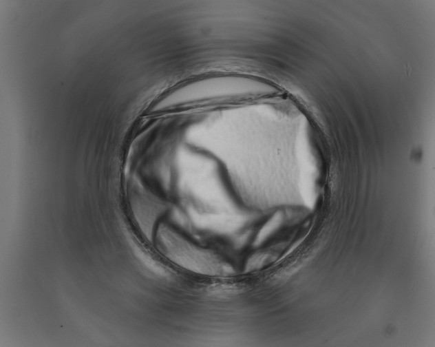 X0000090870445200708241923