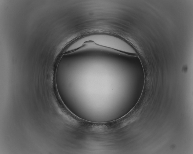 X0000090870446200708241923