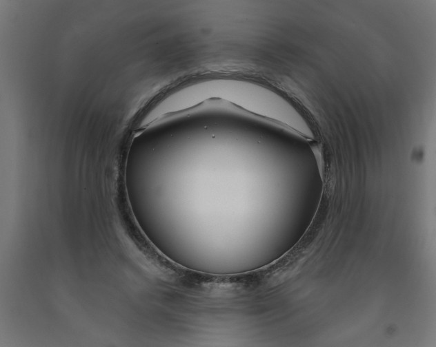 X0000090870448200708241923