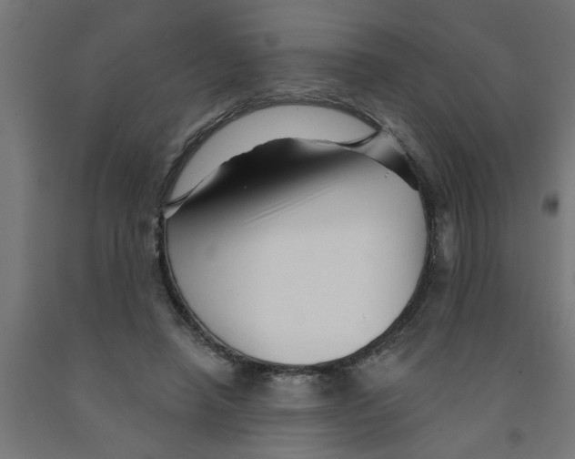 X0000090870450200708241923