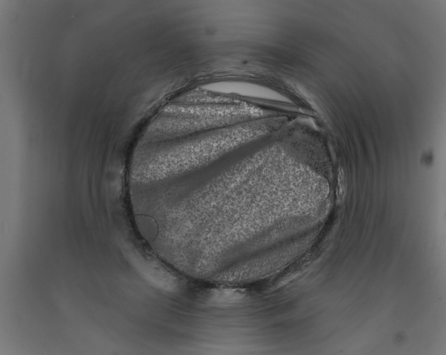 X0000090870451200708241923