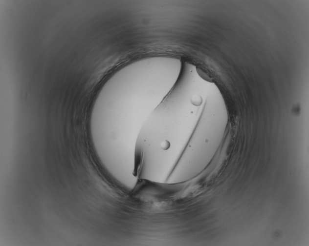 X0000090870452200708241923