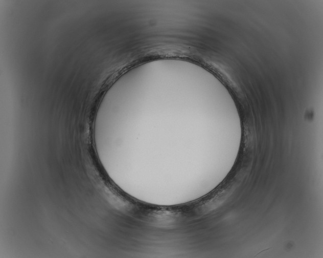 X0000090870453200708241923