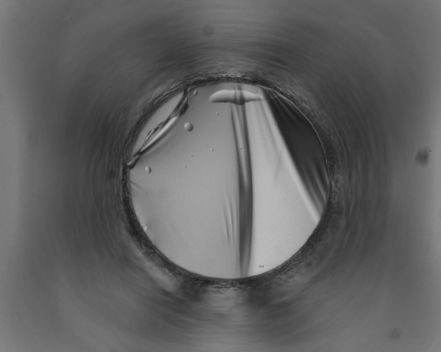 X0000090870454200708241923