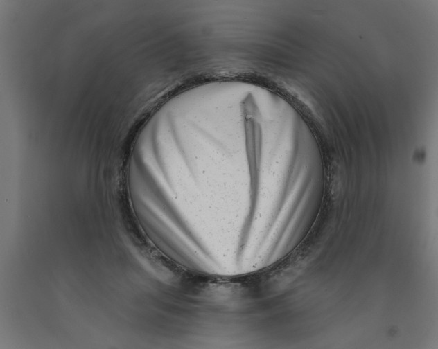 X0000090870455200708241923