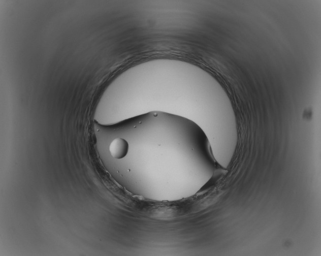 X0000090870456200708241923