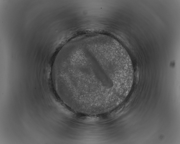 X0000090870458200708241923