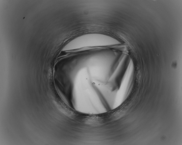 X0000090870459200708241923