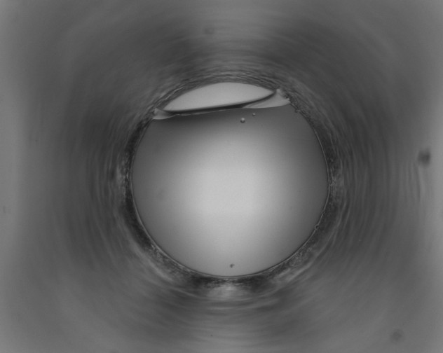 X0000090870460200708241923