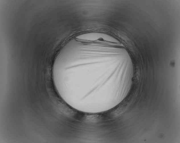 X0000090870461200708241923