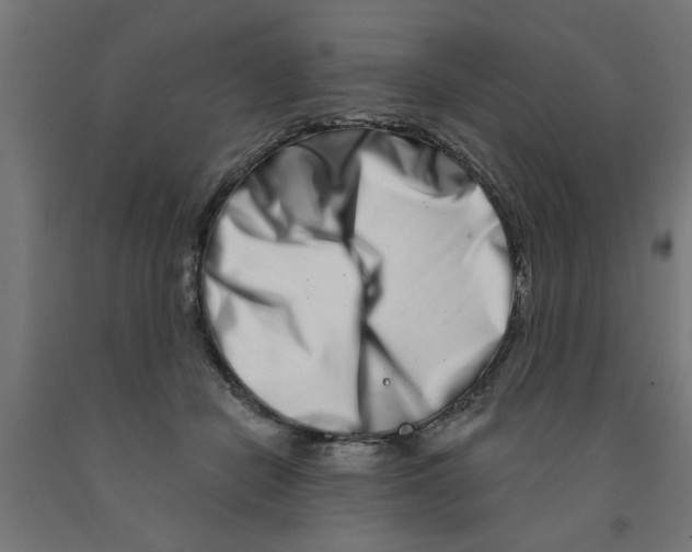 X0000090870462200708241923