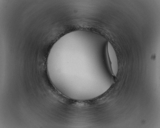 X0000090870464200708241923