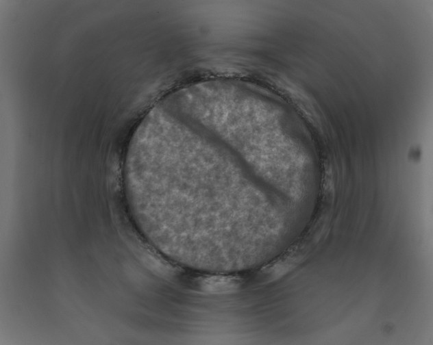 X0000090870465200708241923