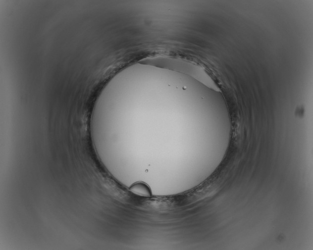 X0000090870466200708241923