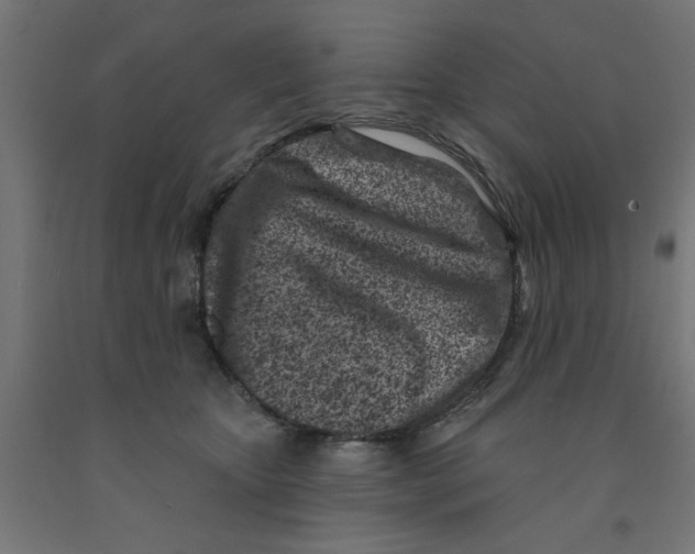 X0000090870467200708241923