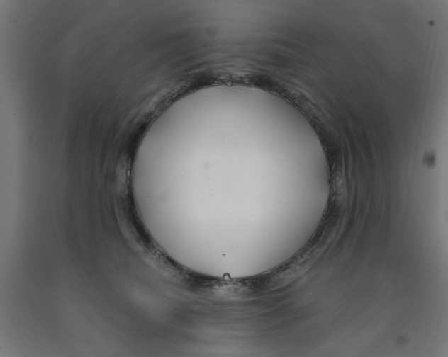 X0000090870468200708241923