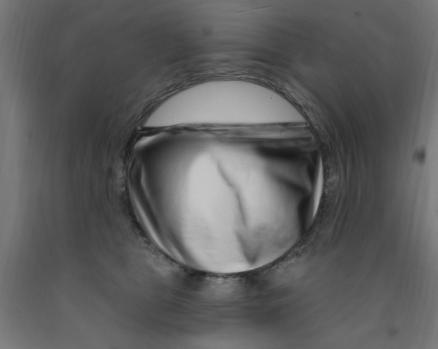 X0000090870469200708241923