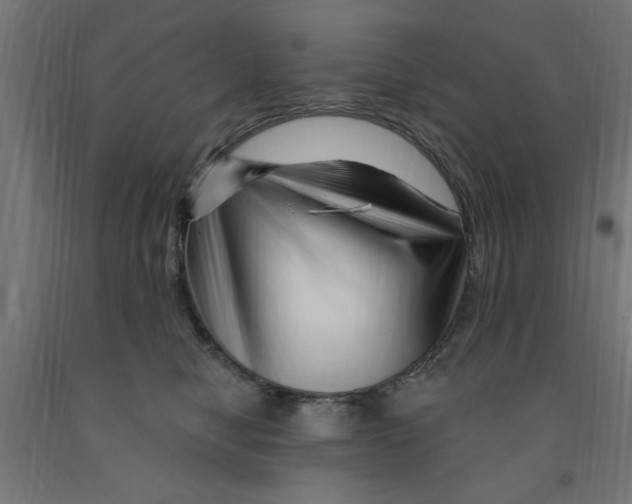 X0000090870470200708241923