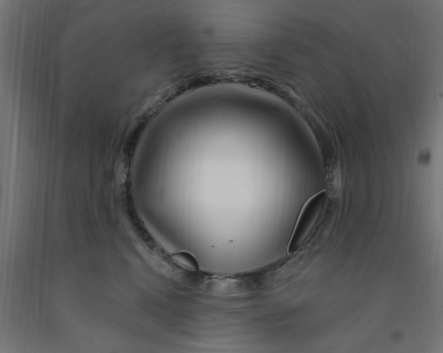 X0000090870472200708241923