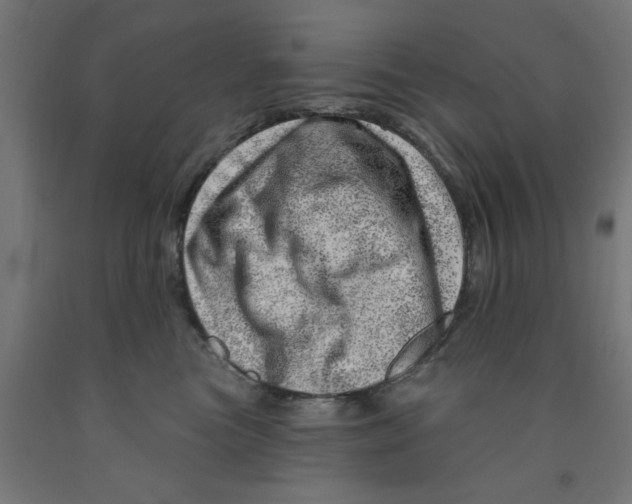 X0000090870473200708241923