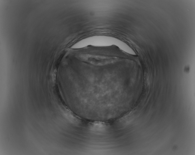 X0000090870475200708241923