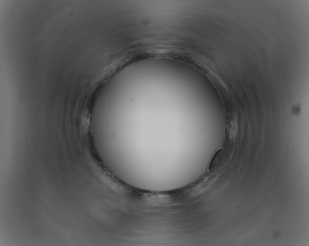 X0000090870476200708241923