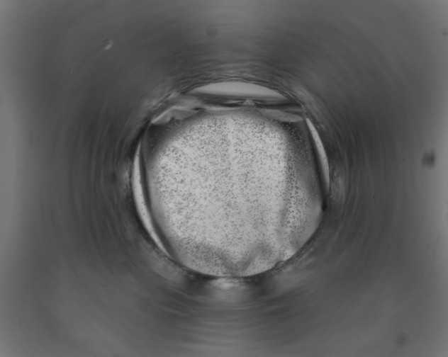 X0000090870477200708241923