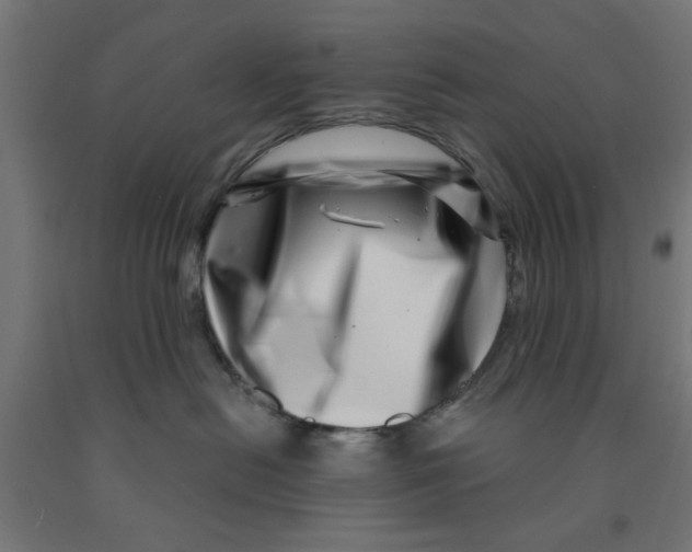 X0000090870478200708241923