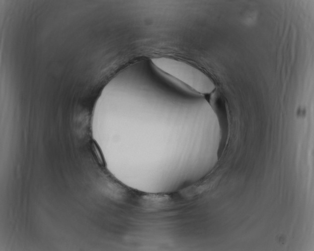 X0000090870480200708241923