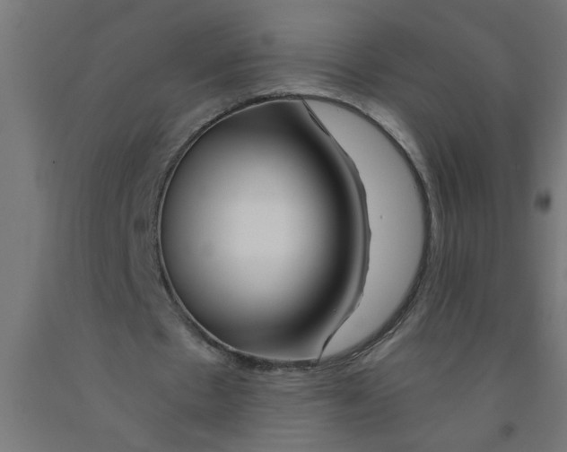 X0000090870481200708241923