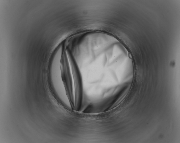 X0000090870482200708241923