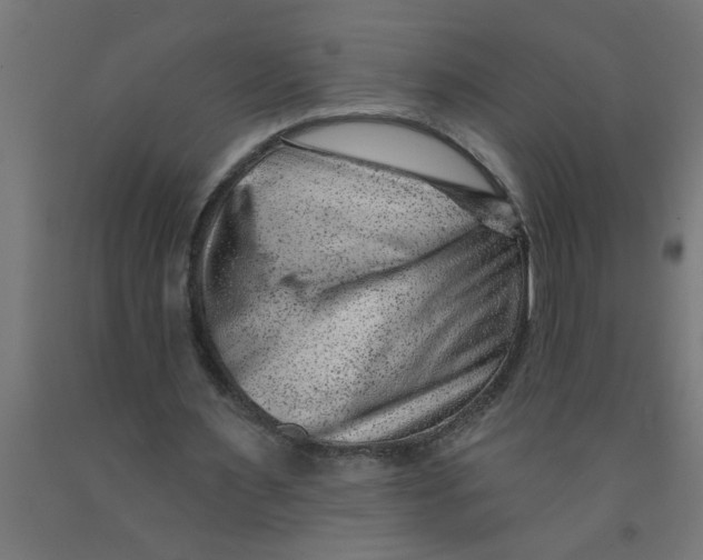 X0000090870483200708241923