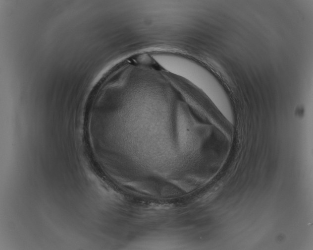 X0000090870484200708241923