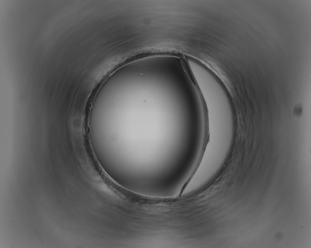 X0000090870485200708241923