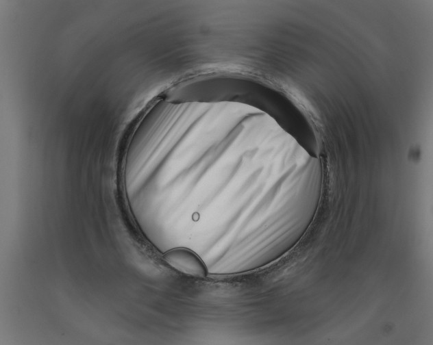 X0000090870486200708241923