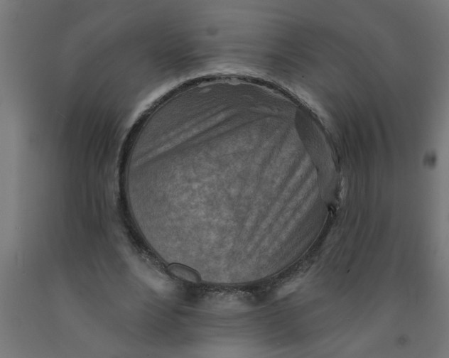 X0000090870488200708241923