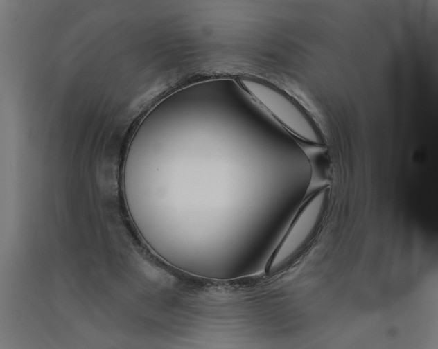 X0000090870489200708241923