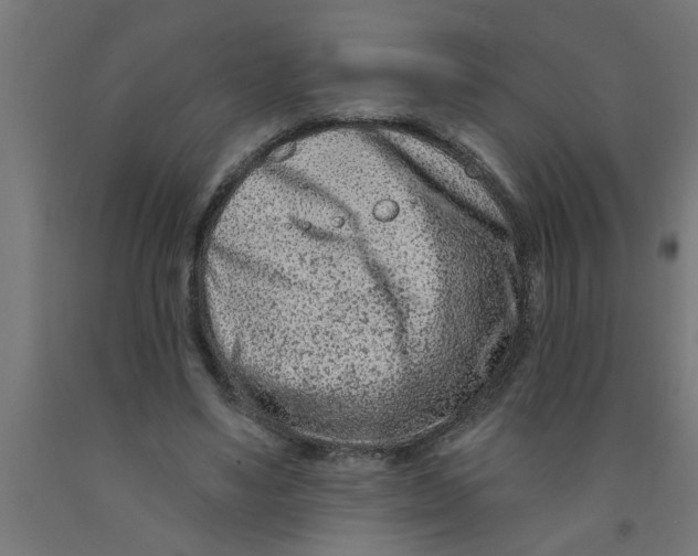 X0000090870491200708241923