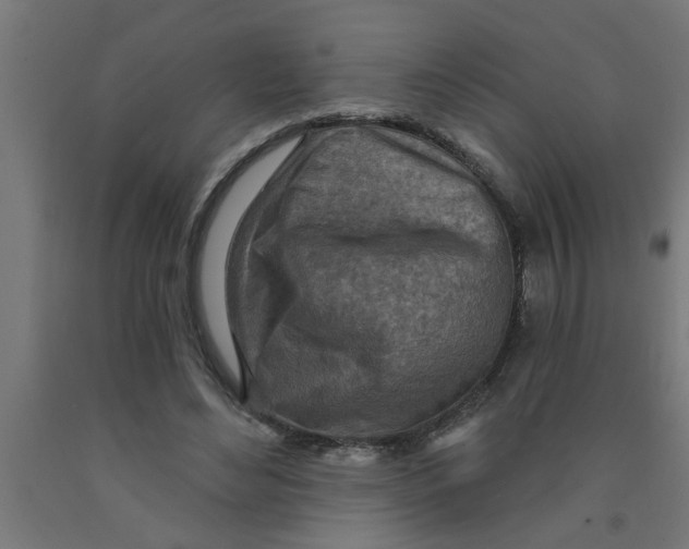 X0000090870492200708241923