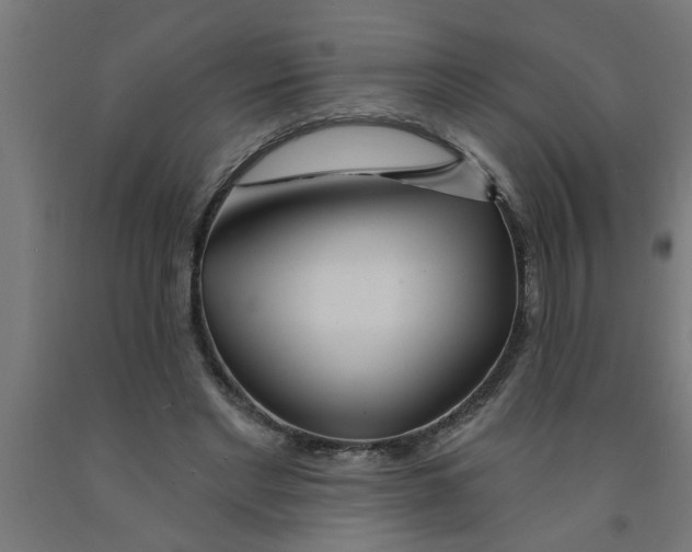 X0000090870493200708241923