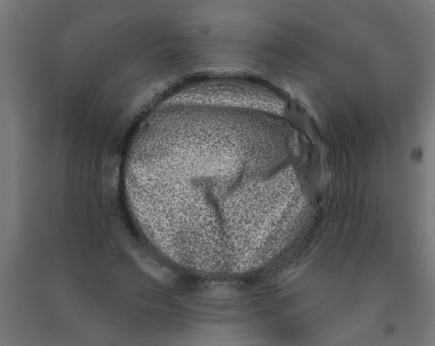 X0000090870495200708241923