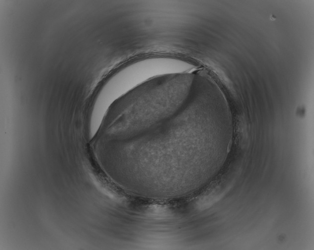 X0000090870496200708241923